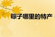 粽子哪里的特产（粽子是哪里的特产）