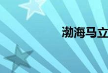 渤海马立文（渤海马）