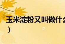 玉米淀粉又叫做什么粉（玉米淀粉又叫生粉吗）