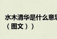 水木清华是什么意思啊（水木清华是什么意思（图文））