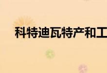 科特迪瓦特产和工艺品（科特迪瓦特产）