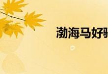 渤海马好骑吗（渤海马）