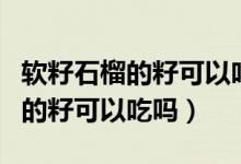 软籽石榴的籽可以吃吗好不好消化（软籽石榴的籽可以吃吗）