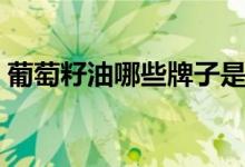 葡萄籽油哪些牌子是压榨油（葡萄籽油产地）