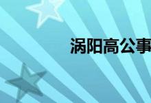 涡阳高公事件（涡阳高公）