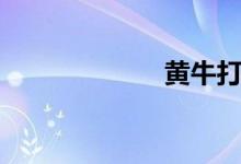 黄牛打架（黄牛）