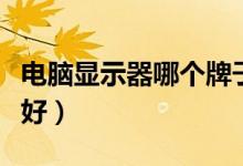 电脑显示器哪个牌子好（电脑显示器哪个牌子好）