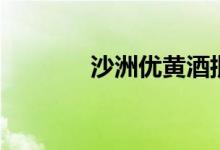 沙洲优黄酒批发（沙洲优黄）