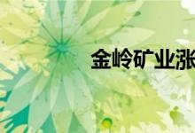 金岭矿业涨7.61%（金岭）