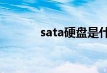 sata硬盘是什么意思（satay）