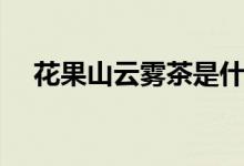 花果山云雾茶是什么茶（花果山云雾茶）