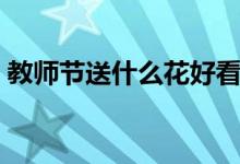 教师节送什么花好看简单（教师节送什么花）