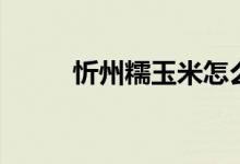 忻州糯玉米怎么煮（忻州糯玉米）