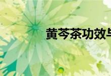 黄芩茶功效与作用（黄芩茶）