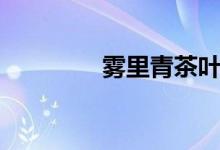 雾里青茶叶直销（雾里青）
