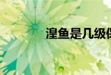 湟鱼是几级保护动物（湟鱼）