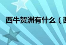 西牛贺洲有什么（西牛贺洲在现在的哪里）