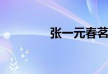 张一元春茗春雪（张一元）