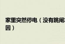家里突然停电（没有跳闸怎么回事及家里突然停电是什么原因）