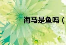 海马是鱼吗（海马属于鱼类吗）