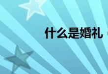 什么是婚礼（什么是婚神星）