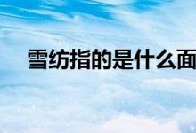 雪纺指的是什么面料（雪纺指什么面料）