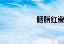 胭脂红瓷器（胭脂红）