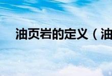 油页岩的定义（油页岩指的是什么东西）