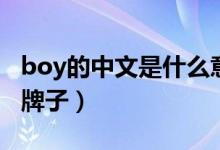 boy的中文是什么意思啊（boy的中文是什么牌子）