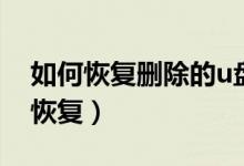 如何恢复删除的u盘数据（u盘删除数据怎么恢复）