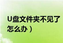 U盘文件夹不见了（U盘里面的文件夹不见了怎么办）