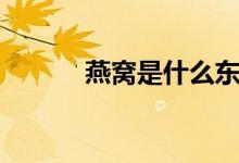 燕窝是什么东西（燕窝是什么）