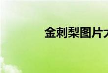 金刺梨图片大全（金色刺梨）