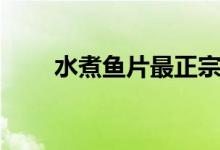 水煮鱼片最正宗的做法（水煮鱼片）