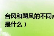 台风和飓风的不同点在于（台风和飓风的区别是什么）