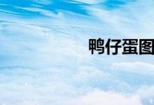 鸭仔蛋图片（鸭仔蛋）
