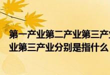 第一产业第二产业第三产业分别是指什么（第一产业第二产业第三产业分别是指什么）