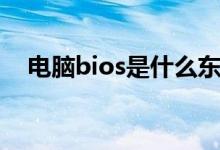 电脑bios是什么东西（电脑bios是什么）