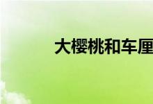 大樱桃和车厘子区别（大樱桃）