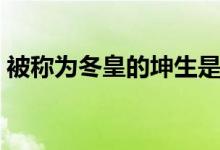 被称为冬皇的坤生是谁（冬皇的坤生是什么）