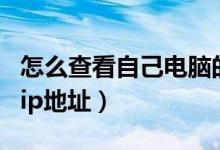 怎么查看自己电脑的ip（怎么查看自己电脑的ip地址）