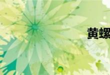 黄螺（黄螺）