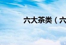 六大茶类（六大茶类的代表茶）
