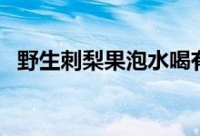 野生刺梨果泡水喝有什么作用（野生刺梨）