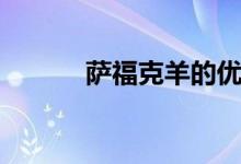 萨福克羊的优缺点（萨福克羊）