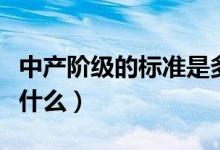 中产阶级的标准是多少钱（中产阶级的标准是什么）