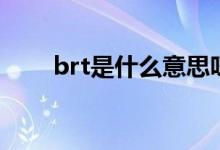 brt是什么意思呀（brt是什么意思）