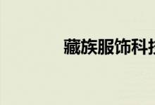 藏族服饰科技感（藏族服饰）