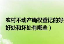 农村不动产确权登记的好处和坏处（农村不动产确权登记的好处和坏处有哪些）