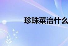 珍珠菜治什么病最好（珍珠菜）
